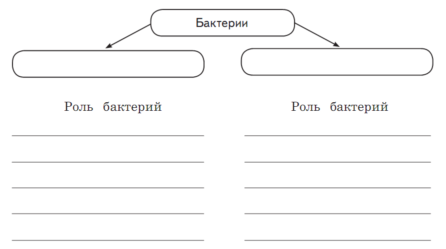 Заполните схему природа. Виды схем для заполнения. Заполни схему роли в группе. Готовые схемы для заполнения. Шаблон две группы.