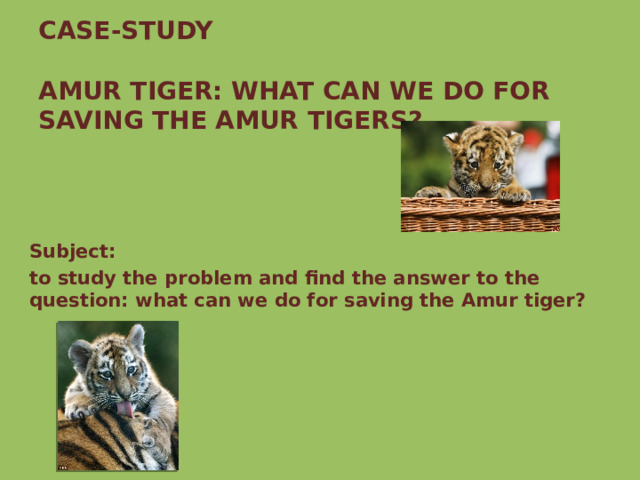  CASE-STUDY   AMUR TIGER: WHAT CAN WE DO FOR SAVING THE AMUR TIGERS? Subject: to study the problem and find the answer to the question: what can we do for saving the Amur tiger? 
