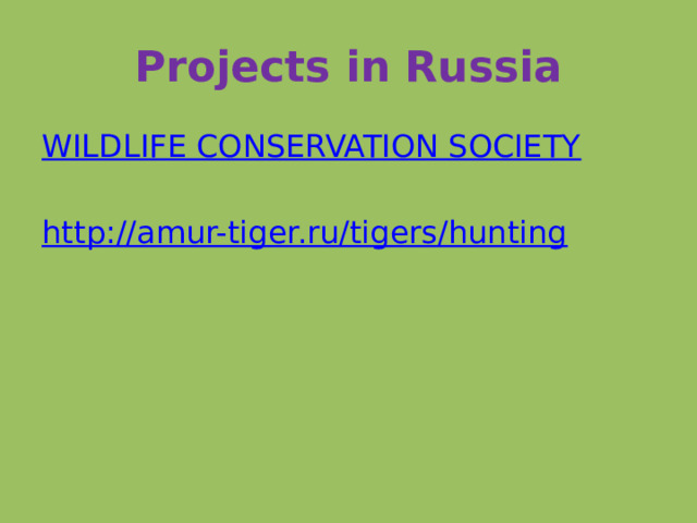 Projects in Russia WILDLIFE CONSERVATION SOCIETY http://amur-tiger.ru/tigers/hunting 