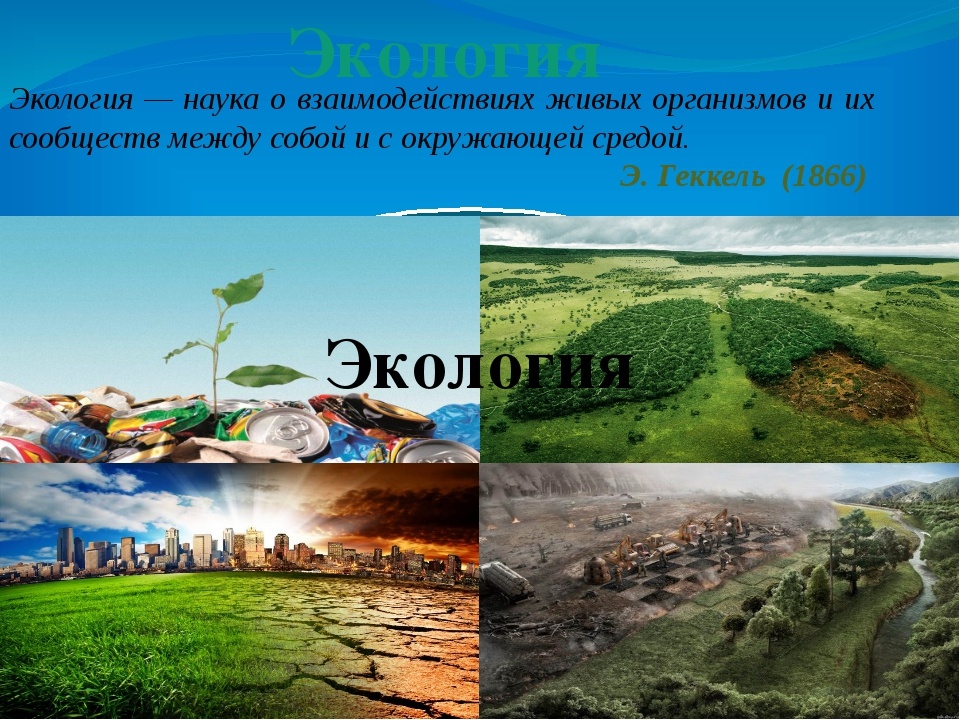 Цвета тел в природе проект