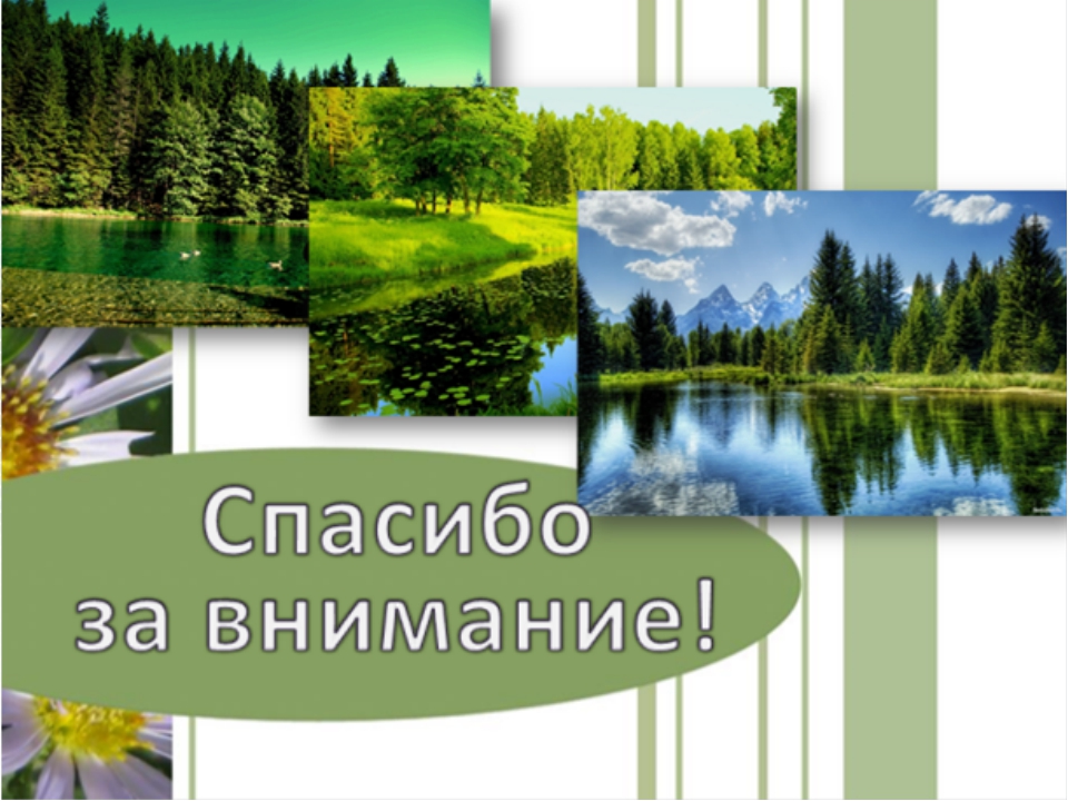Спасибо за внимание экология