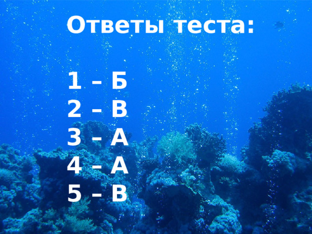 Ответы теста:  1 – Б 2 – В 3 – А 4 – А 5 – В 