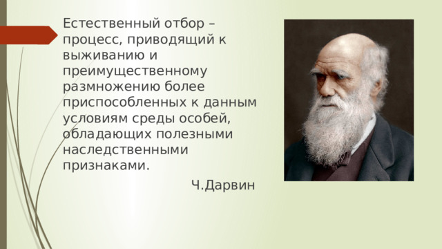 Естественный отбор – процесс, приводящий к выживанию и преимущественному размножению более приспособленных к данным условиям среды особей, обладающих полезными наследственными признаками.  Ч.Дарвин 