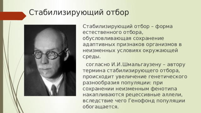 Стабилизирующий отбор Стабилизирующий отбор – форма естественного отбора, обусловливающая сохранение адаптивных признаков организмов в неизменных условиях окружающей среды.  согласно И.И.Шмальгаузену – автору термина стабилизирующего отбора, происходит увеличение генетического разнообразия популяции: при сохранении неизменным фенотипа накапливаются рецессивные аллели, вследствие чего Генофонд популяции обогащается. 