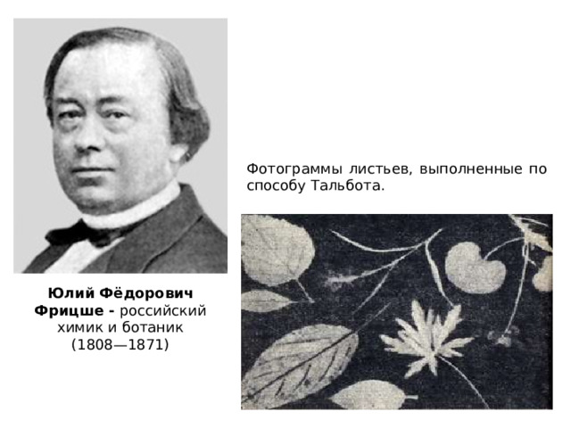 Фотограммы листьев, выполненные по способу Тальбота. Юлий Фёдорович Фрицше - российский химик и ботаник (1808—1871)  