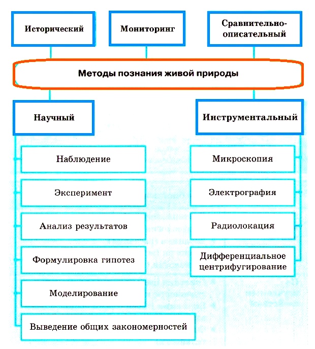 Методы изучения живой природы 5. Методы изучения живых организмов. Методы биологических исследований метод описание метода таблица. Основные методы исследования живого. Метод исследования живого организма.