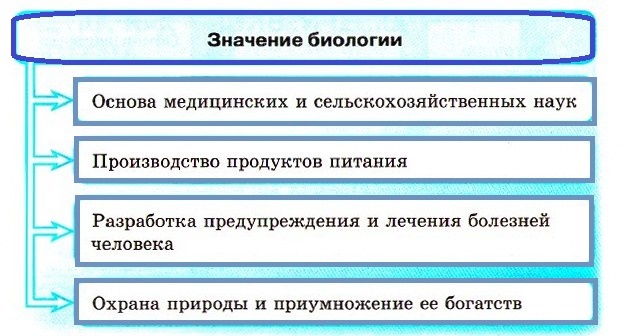 Какое значение биологических исследований. Практическая значимость биологии. Роль современной биологии. Роль биологии в практической деятельности. Роль биологии в формировании естественнонаучной картины мира.