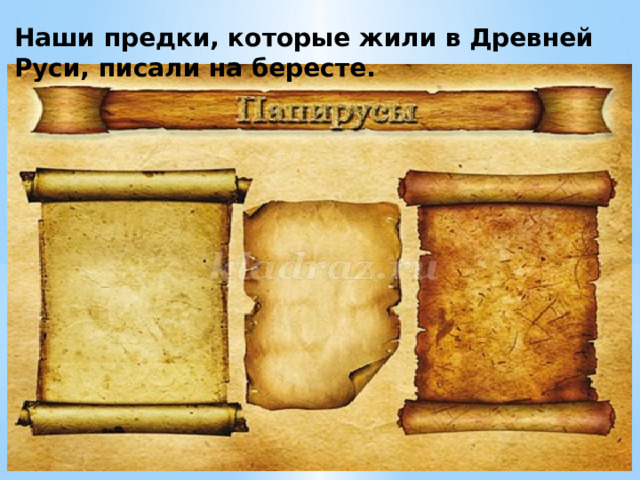 Наши предки, которые жили в Древней Руси, писали на бересте. 