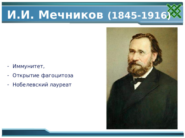  И.И. Мечников (1845-1916)   Иммунитет, Открытие фагоцитоза Нобелевский лауреат 