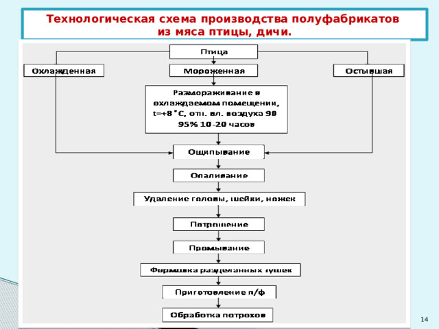 Приготовление полуфабрикатов из птицы и дичи