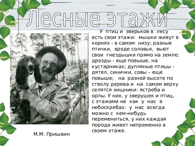  У  птиц и  зверьков в  лесу есть свои этажи:  мышки живут в корнях - в самом  низу; разные птички,  вроде соловья,  вьют  свои  гнездышки прямо на земле; дрозды - еще повыше, на кустарниках; дупляные птицы - дятел, синички, совы – еще повыше;   на  разной высоте по  стволу дерева и  на  самом верху селятся хищники: ястреба и орлы. У них, у зверушек и птиц,  с этажами не  как  у  нас  в  небоскребах:  у  нас  всегда можно с  кем-нибудь перемениться, у них каждая порода живет непременно в своем этаже. М.М. Пришвин 