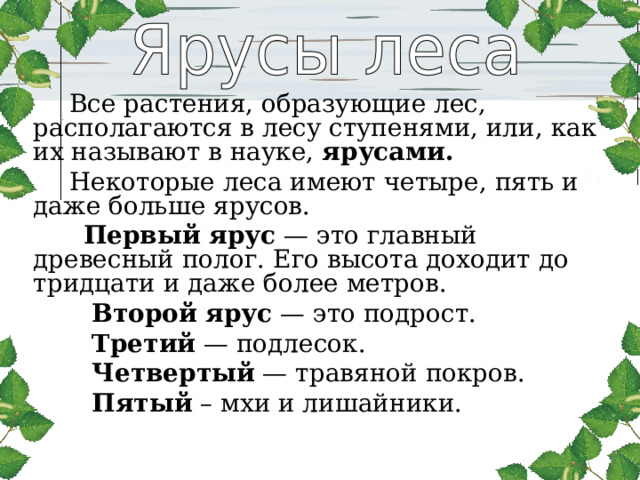  Все растения, образующие лес, располагаются в лесу ступенями, или, как их называют в науке, ярусами.   Некоторые леса имеют четыре, пять и даже больше ярусов.  Первый ярус — это главный древесный полог. Его высота доходит до тридцати и даже более метров.  Второй ярус — это подрост.  Третий — подлесок.  Четвертый — травяной покров.  Пятый – мхи и лишайники. 