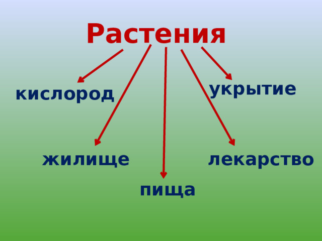 Окружающий мир 3 класс составь схему которая показывает что дают растения животным и человеку