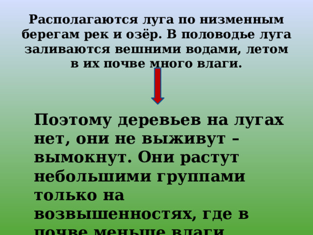 Презентация по окружающему миру 4 класс жизнь луга