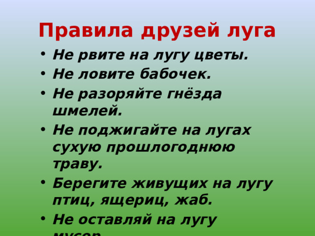 Презентация по окружающему миру 4 класс жизнь луга