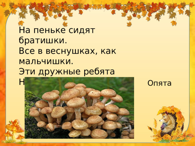 На пеньке сидят братишки. Все в веснушках, как мальчишки. Эти дружные ребята Называются... Опята 