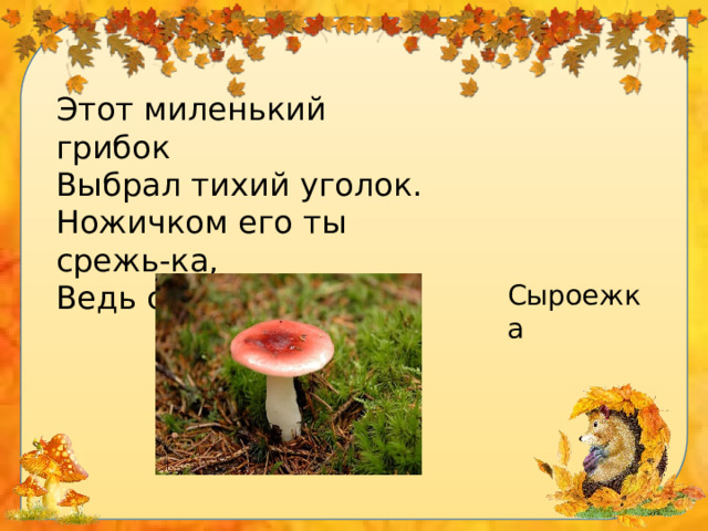 Этот миленький грибок Выбрал тихий уголок. Ножичком его ты срежь-ка, Ведь съедобна... Сыроежка 