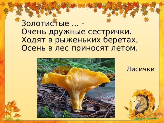 Золотистые ... -  Очень дружные сестрички.  Ходят в рыженьких беретах,  Осень в лес приносят летом. Лисички 