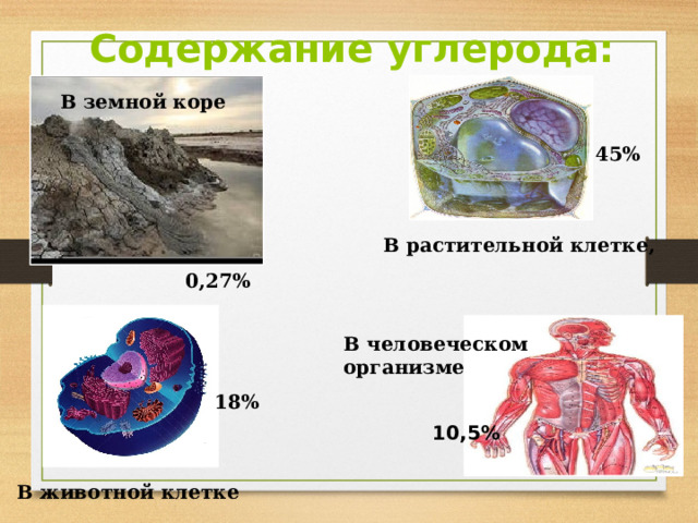 Содержание углерода: В земной коре 45% В растительной клетке, 0,27% В человеческом организме 18% 10,5% В животной клетке 