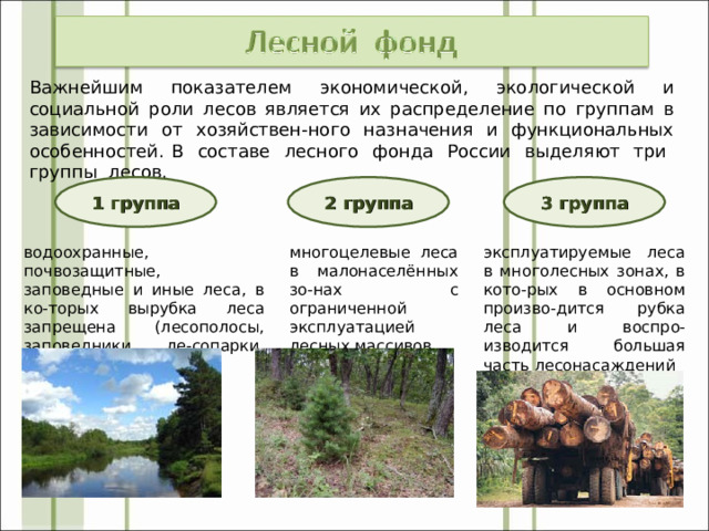 Важнейшим показателем экономической, экологической и социальной роли лесов является их распределение по группам в зависимости от хозяйствен-ного назначения и функциональных особенностей. В составе лесного фонда России выделяют три группы лесов. 1 группа 2 группа 3 группа водоохранные, почвозащитные, заповедные и иные леса, в ко-торых вырубка леса запрещена (лесополосы, заповедники, ле-сопарки, курортные леса и т.п.) многоцелевые леса в малонаселённых зо-нах с ограниченной эксплуатацией лесных массивов эксплуатируемые леса в многолесных зонах, в кото-рых в основном произво-дится рубка леса и воспро-изводится большая часть лесонасаждений 