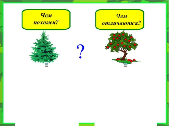 Лиственные и хвойные растения дикорастущие и культурные растения 1 класс презентация