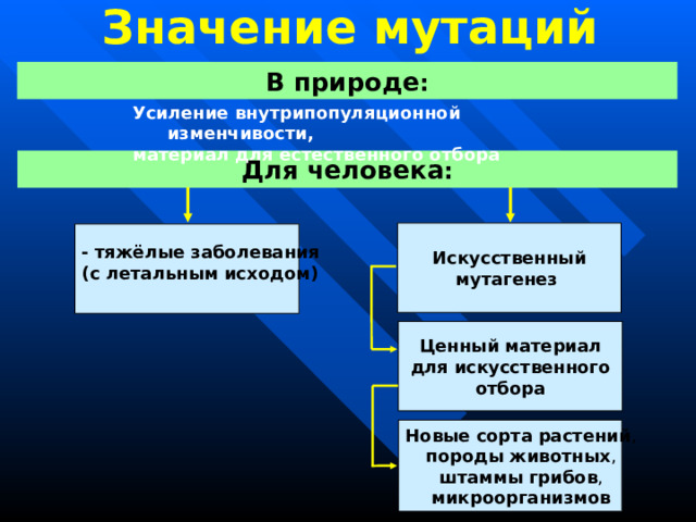 Значение мутаций В природе : Усиление внутрипопуляционной изменчивости, материал для естественного отбора Для человека : Искусственный  мутагенез  -  тяжёлые  заболевания (с летальным исходом)  Ценный  материал  для  искусственного  отбора Новые  сорта  растений , породы  животных ,  штаммы  грибов ,  микроорганизмов 22 