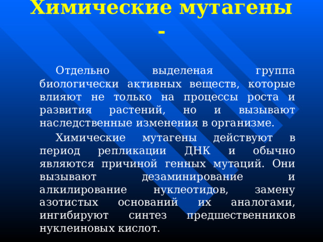 Химические мутагены -     Отдельно выделеная группа биологически активных веществ, которые влияют не только на процессы роста и развития растений, но и вызывают наследственные изменения в организме.   Химические мутагены действуют в период репликации ДНК и обычно являются причиной генных мутаций. Они вызывают дезаминирование и алкилирование нуклеотидов, замену азотистых оснований их аналогами, ингибируют синтез предшественников нуклеиновых кислот. 