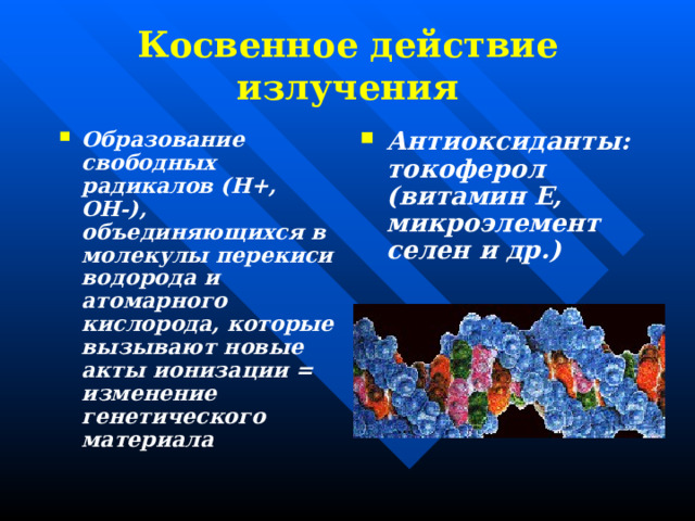 Косвенное действие излучения Образование свободных радикалов (Н+, ОН-), объединяющихся в молекулы перекиси водорода и атомарного кислорода, которые вызывают новые акты ионизации = изменение генетического материала Антиоксиданты: токоферол (витамин Е, микроэлемент селен и др.) 