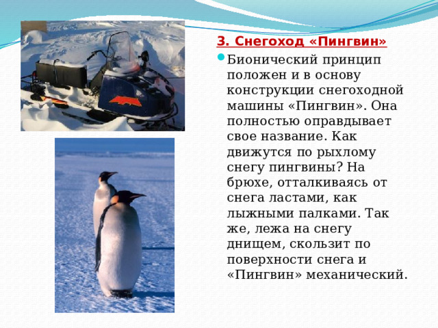 3. Снегоход «Пингвин» Бионический принцип положен и в основу конструкции снегоходной машины «Пингвин». Она полностью оправдывает свое название. Как движутся по рыхлому снегу пингвины? На брюхе, отталкиваясь от снега ластами, как лыжными палками. Так же, лежа на снегу днищем, скользит по поверхности снега и «Пингвин» механический.    
