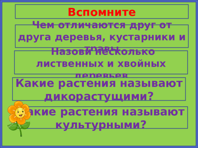 Вспомните Чем отличаются друг от друга деревья, кустарники и травы   Назови несколько лиственных и хвойных деревьев Какие растения называют дикорастущими? Какие растения называют культурными? 
