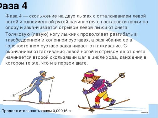 Определите в каком ответе каждому лыжному ходу соответствует свой рисунок