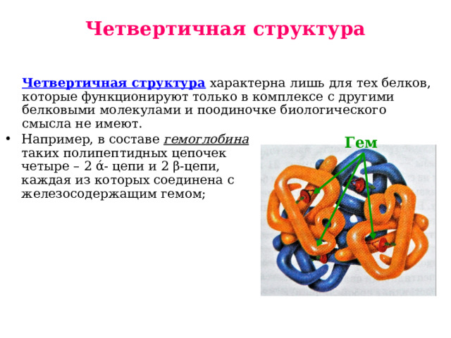 Четвертичная структура Четвертичная структура характерна лишь для тех белков, которые функционируют только в комплексе с другими белковыми молекулами и поодиночке биологического смысла не имеют. Гем Например, в составе гемоглобина таких полипептидных цепочек четыре – 2 ά- цепи и 2 β-цепи, каждая из которых соединена с железосодержащим гемом; 