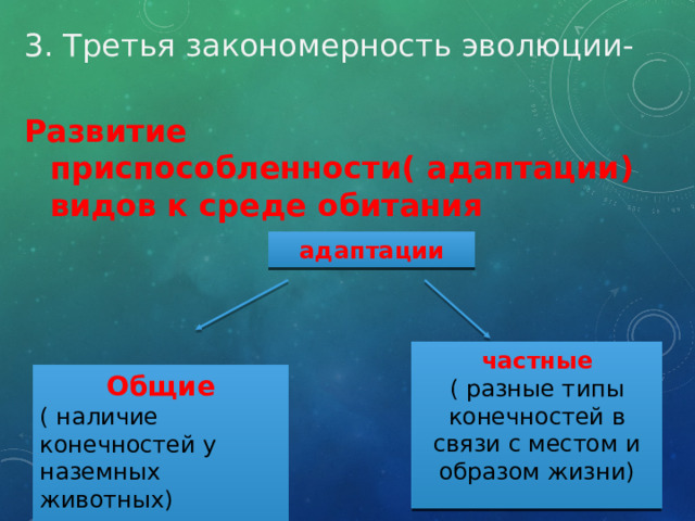 3. Третья закономерность эволюции- Развитие приспособленности( адаптации) видов к среде обитания адаптации частные ( разные типы конечностей в связи с местом и образом жизни) Общие ( наличие конечностей у наземных животных) 