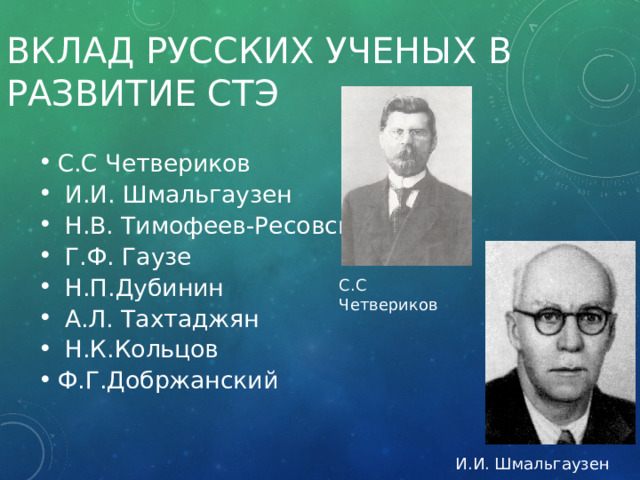 ВКЛАД РУССКИХ УЧЕНЫХ В РАЗВИТИЕ СТЭ С.С Четвериков  И.И. Шмальгаузен  Н.В. Тимофеев-Ресовский  Г.Ф. Гаузе  Н.П.Дубинин  А.Л. Тахтаджян  Н.К.Кольцов Ф.Г.Добржанский С.С Четвериков  И.И. Шмальгаузен 