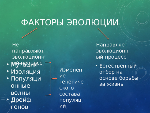 Факторы эволюции Не направляют эволюционный процесс Направляет эволюционный процесс Мутации Изоляция Популяционные волны Дрейф генов Естественный отбор на основе борьбы за жизнь Изменение генетического состава популяций 