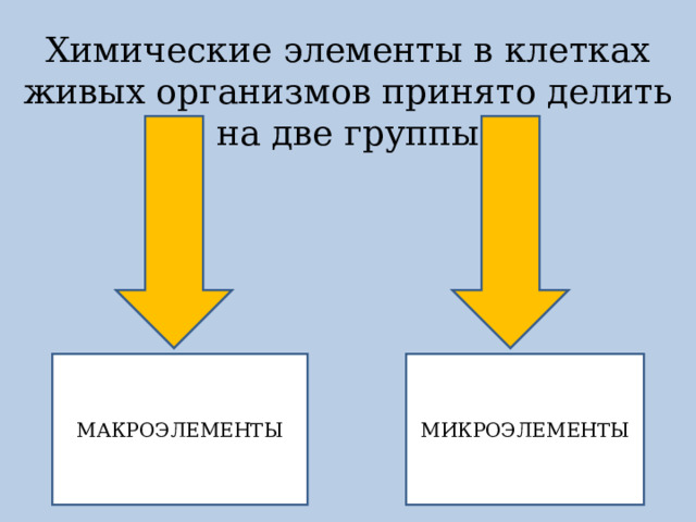 Химические элементы в клетках живых организмов принято делить на две группы МАКРОЭЛЕМЕНТЫ МИКРОЭЛЕМЕНТЫ 