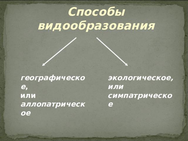 Способы видообразования географическое , или аллопатрическое экологическое, или симпатрическое 