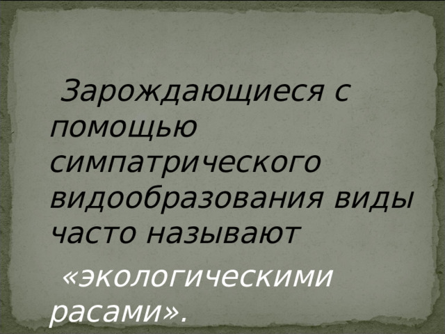  Зарождающиеся с помощью симпатрического видообразования виды часто называют   «экологическими расами». 