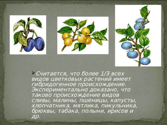 Считается, что более 1/3 всех видов цветковых растений имеет гибридогенное происхождение. Экспериментально доказано, что таково происхождение видов сливы, малины, пшеницы, капусты, хлопчатника, мятлика, пикульника, брюквы, табака, полыни, ирисов и др.  