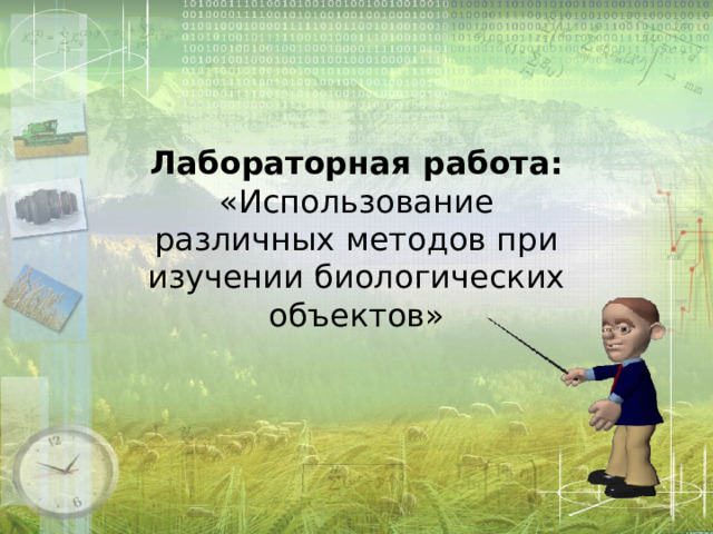  Лабораторная работа: «Использование различных методов при изучении биологических объектов» 