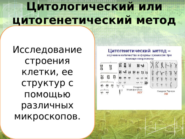 Цитологический или цитогенетический метод Исследование строения клетки, ее структур с помощью различных микроскопов. 