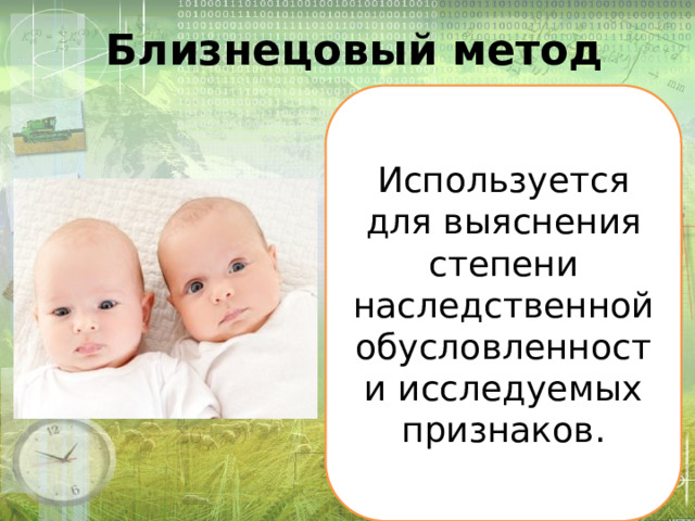 Близнецовый метод Используется для выяснения степени наследственной обусловленности исследуемых признаков. 