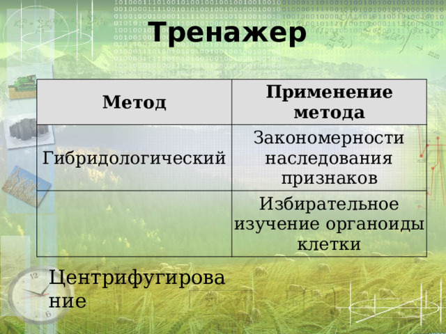 Тренажер Метод Применение метода Гибридологический Закономерности наследования признаков Избирательное изучение органоиды клетки Центрифугирование 