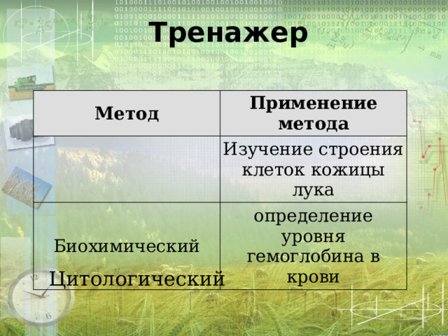 Тренажер Метод Применение метода Изучение строения клеток кожицы лука Биохимический определение уровня гемоглобина в крови Цитологический 