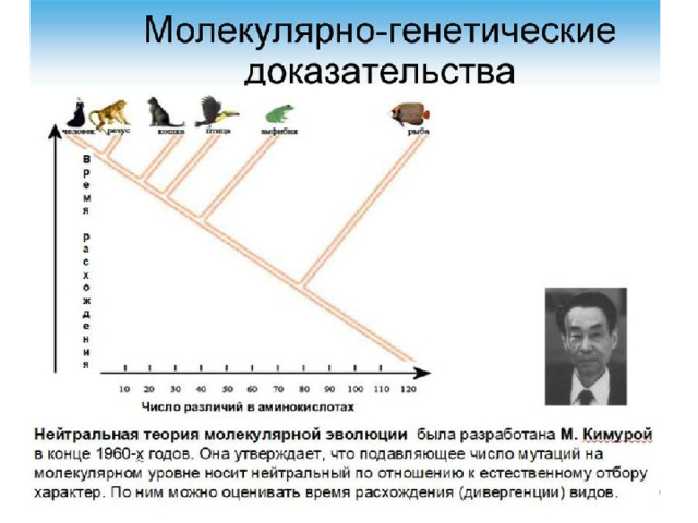 Генетические доказательства