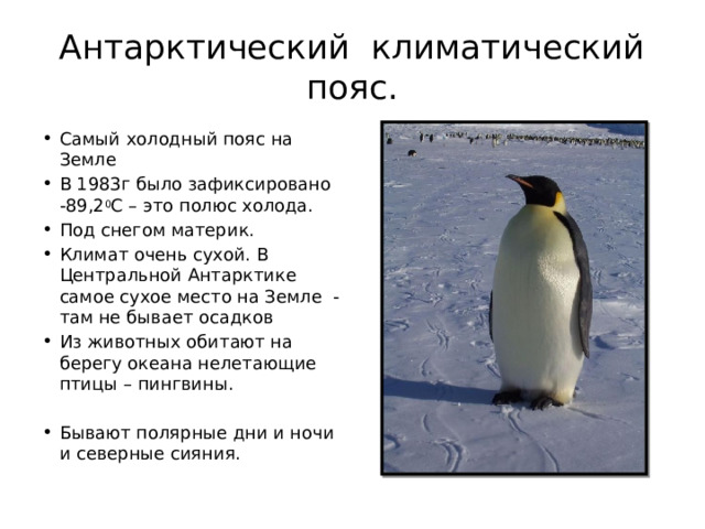 Антарктический климатический пояс. Самый холодный пояс на Земле В 1983г было зафиксировано -89,2 0 С – это полюс холода. Под снегом материк. Климат очень сухой. В Центральной Антарктике самое сухое место на Земле - там не бывает осадков Из животных обитают на берегу океана нелетающие птицы – пингвины. Бывают полярные дни и ночи и северные сияния. 