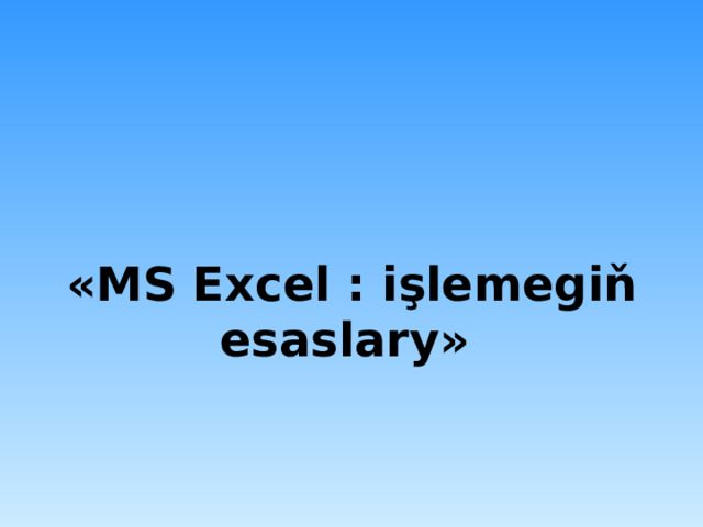    « MS Excel : işlemegiň esaslary »  