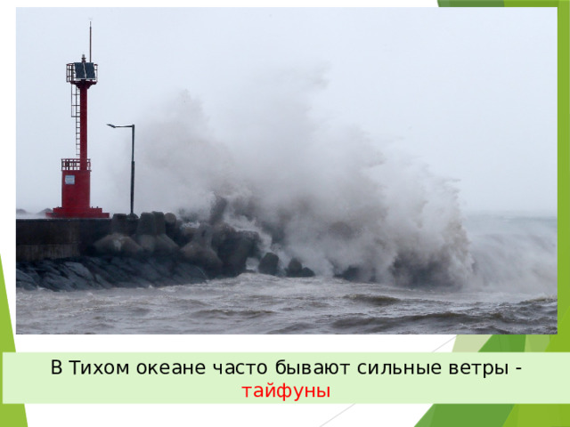 В Тихом океане часто бывают сильные ветры - тайфуны 