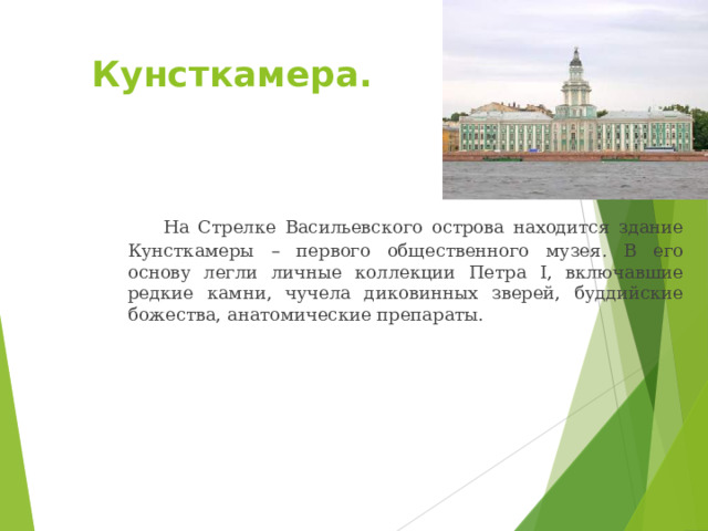  Кунсткамера.   На Стрелке Васильевского острова находится здание Кунсткамеры – первого общественного музея. В его основу легли личные коллекции Петра I, включавшие редкие камни, чучела диковинных зверей, буддийские божества, анатомические препараты. 