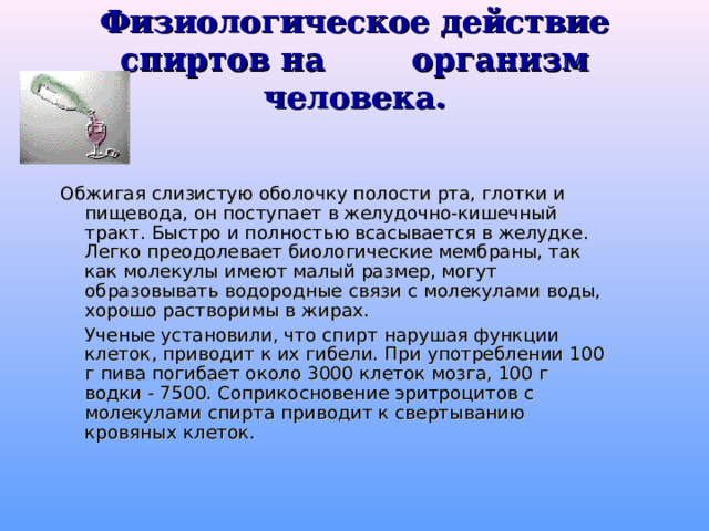 Физиологическое действие спиртов на организм человека.   Обжигая слизистую оболочку полости рта, глотки и пищевода, он поступает в желудочно-кишечный тракт. Быстро и полностью всасывается в желудке. Легко преодолевает биологические мембраны, так как молекулы имеют малый размер, могут образовывать водородные связи с молекулами воды, хорошо растворимы в жирах.    Ученые установили, что спирт нарушая функции клеток, приводит к их гибели. При употреблении 100 г пива погибает около 3000 клеток мозга, 100 г водки - 7500. Соприкосновение эритроцитов с молекулами спирта приводит к свертыванию кровяных клеток. 